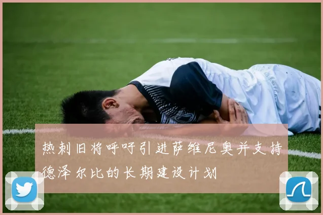 热刺旧将呼吁引进萨维尼奥并支持德泽尔比的长期建设计划