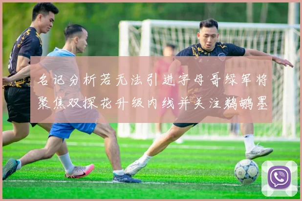 名记分析若无法引进字母哥绿军将聚焦双探花升级内线并关注鹈鹕墨菲